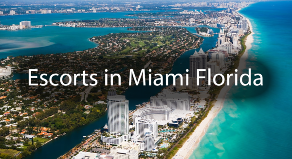 Escorts in Miami Florida